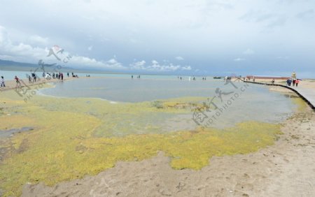 青海湖图片