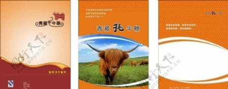 青藏牦牛鞭图片