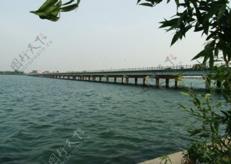 沂河大桥图片