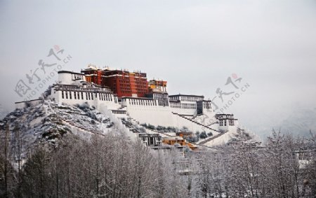 布达拉宫冬雪图片