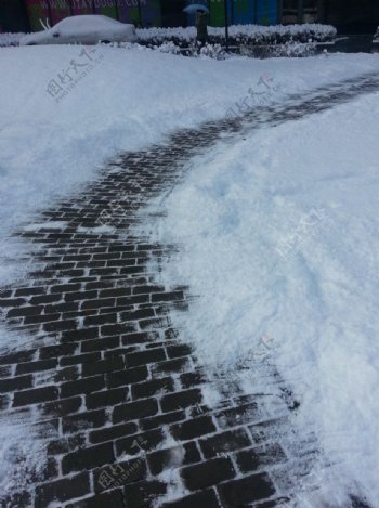 雪中小路图片