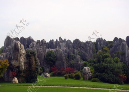 云南石林图片