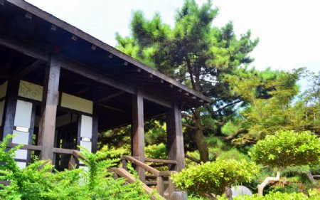 日式庭院前面图片