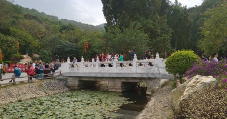 凤凰山桥深圳图片