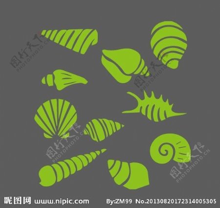 螺贝壳海螺蜗牛图片