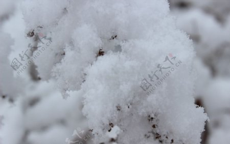 雪花图片