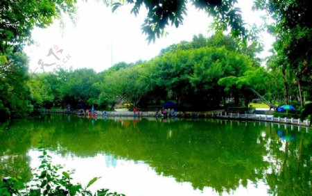 中国深圳人民公园图片