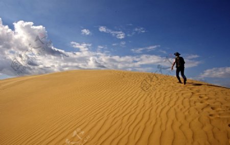 沙漠里的奔跑者图片
