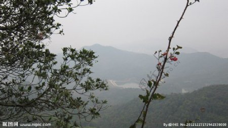 山中雾景图片