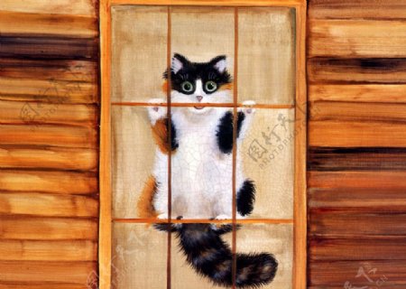窗户小猫图片