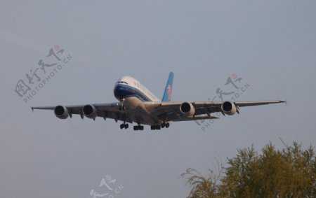 南航A380图片