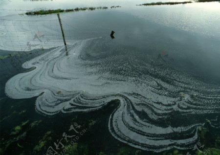 水污染图片