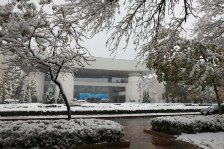 北京语言大学雪景体育馆图片