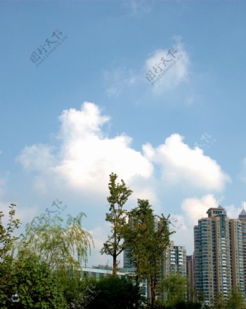 蓝天白云下的城市图片