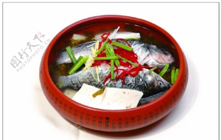 酸菜豆腐鲫鱼图片