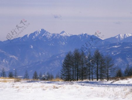雪山冬景图片