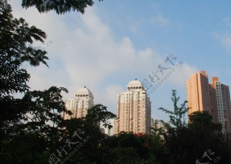 上海之晨图片