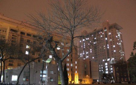 北师大新旧主楼夜景图片