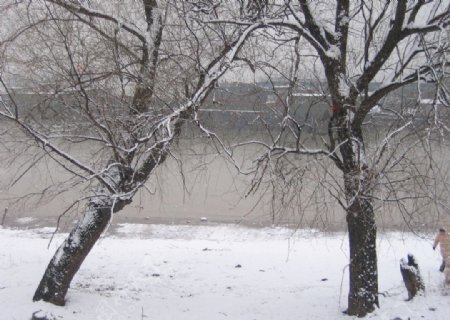 雪景图片