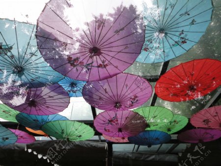 多彩的伞图片