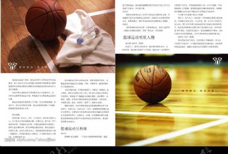篮球画册封面图片