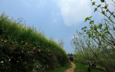 石潭村图片