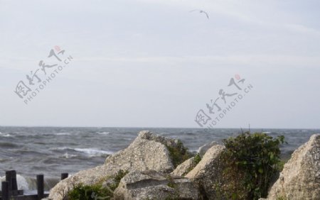 海岸岩石图片