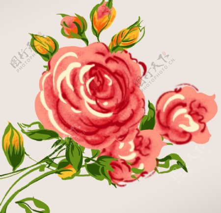 玫瑰花PSD图片