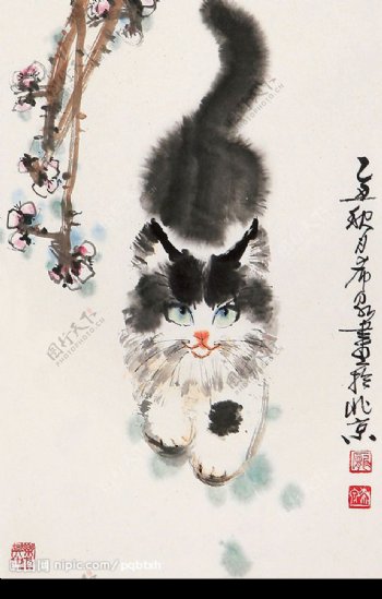 庞希泉现代国画猫8图片