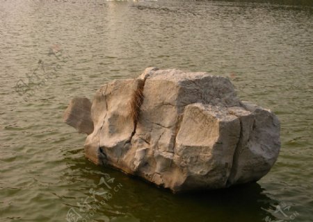 湖中石图片