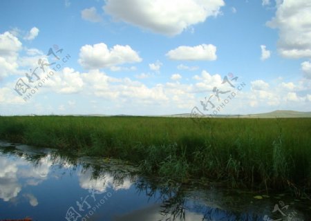 大草原图片