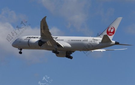 日本航空波音787图片