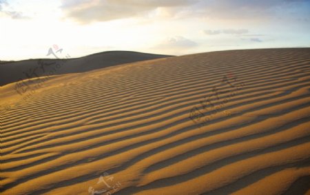 美丽的沙漠波纹图片