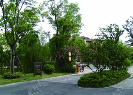 兰乔圣菲别墅绿化景观图片