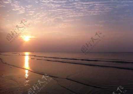早晨的海滩图片
