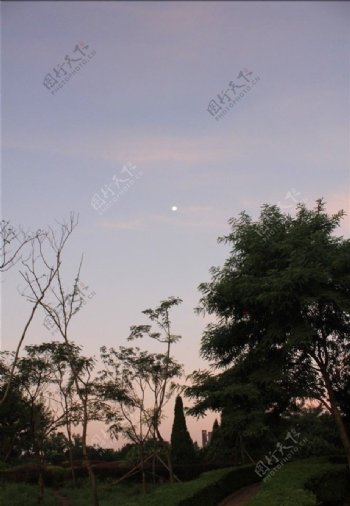 早上月亮图片