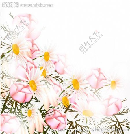 手绘花卉花纹图片