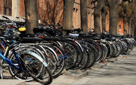 大学里的自行车图片