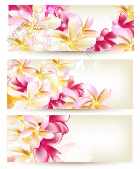 梦幻花卉花朵背景图片