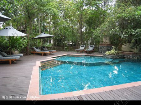 清迈四季酒店游泳池图片