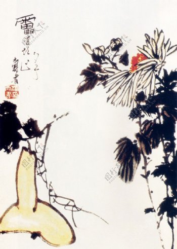 菊花葫芦图片