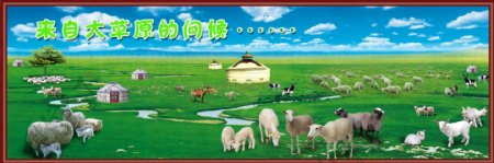 内蒙古的牛羊群图片