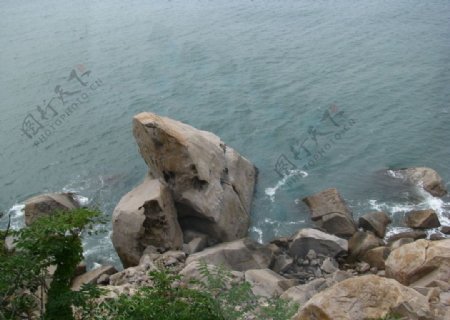 青岛海边青蛙石图片
