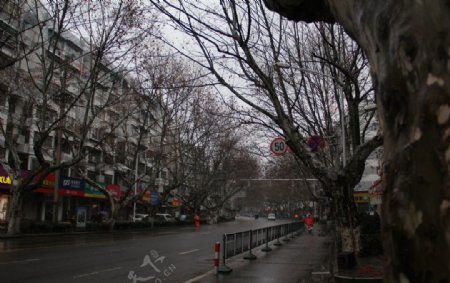 南京大街图片
