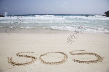沙滩SOS图片