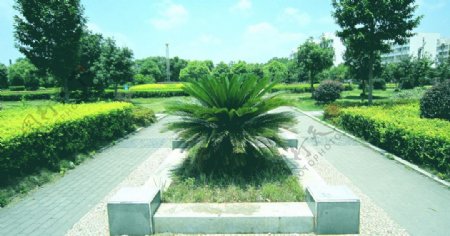 湘潭科技大学花园图片