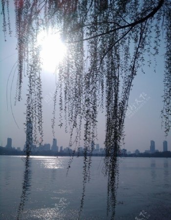 南京玄武湖畔图片