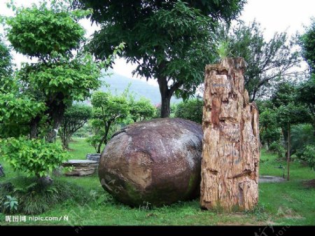 勐巴娜西珍之石头图片