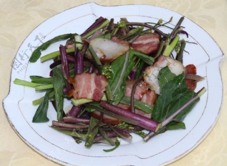 红菜苔炒腊肉图片