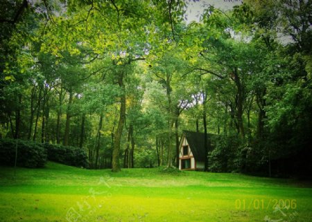 树林里的小屋图片